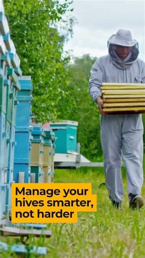 Keeping Beekeeping Tradition Alive with AI