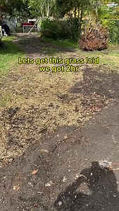 Yeah we had 2 hours… it turned into 2 days 😂 That’s the reality of the landscaping business by the lake. Follow for more landscaping business transformations. #landscapingbusiness #landscapingbusinesslife #sodinstallation yardtransformation beforeandafter lawncare lakefrontproperty contractorlife hardworkpaysoff | Garden Aid Landescaping