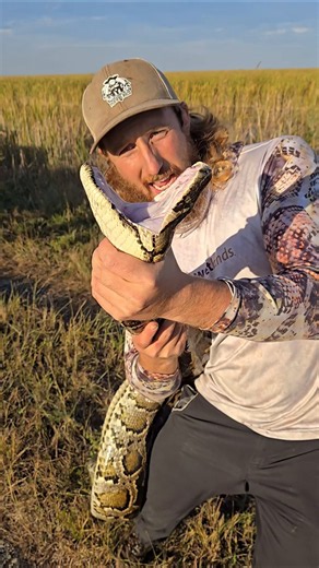 GIANT ANGRY PYTHON!