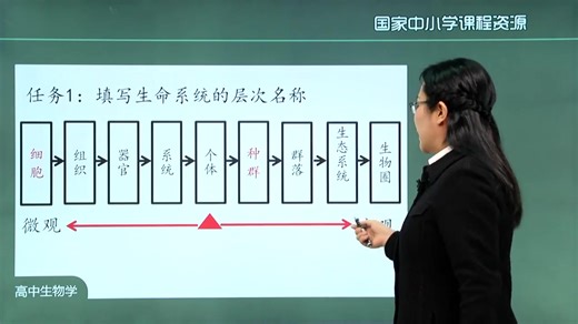 高二生物 选择性必修二（评区附知识点习题课件） 视频合集生物与环境 新人教版 部编版统编版高中生物必选二选修2生物高二生物上册生物学选择性必修第二册