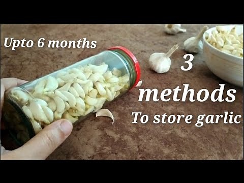 How to store peeled raw garlic for long time | KR 138 #howtostoregarlic