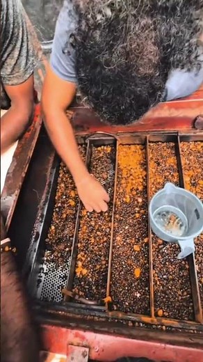 World’s Best Gem Mine 🌏 | Hidden Treasure Fields of Ceylon 💎