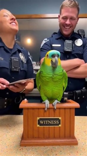 Talking Parrot Magic 🦜✨ Smartest Parrot Ever! 😍 Cute Parrot Goes Viral 🔥