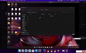 win11复制文件到服务器共享文件夹