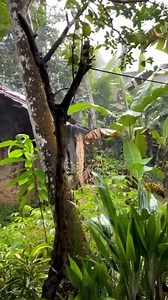 I'm a fan of this type of weather it's my favorite | Awesome World