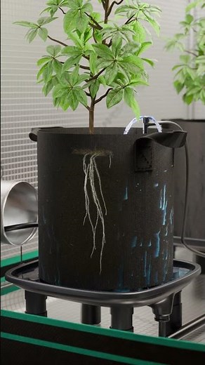 Automatic watering with the iHub Pro, drip irrigation, and auto-drainage system. 💧 #MarsTech