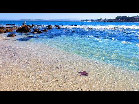 Beach Day: 3 Hours of Soothing Blue From California (4K Video)