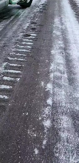 #peterbuilt #fypシ #loggingislife #fyp #foryoupage #longnose #logging #bclogger #heavyequipment #lowbed #shiny #green