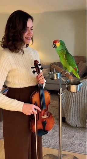 My Parrot And I Did An Opera Duet! 🦜🎻