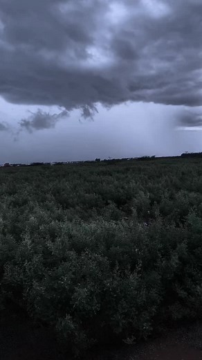 ‏🔋🌧️🎧 #🌫️ #arterr🍂 #foryou