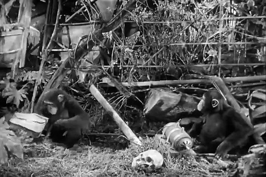 Tarzan’s Magic Fountain (1949) - Classic Jungle Adventure