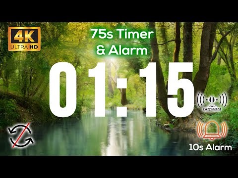 01:15s 🔔 75 Second TIMER with Tick Tock Sound Every Second and Alarm for 10s - No Loop