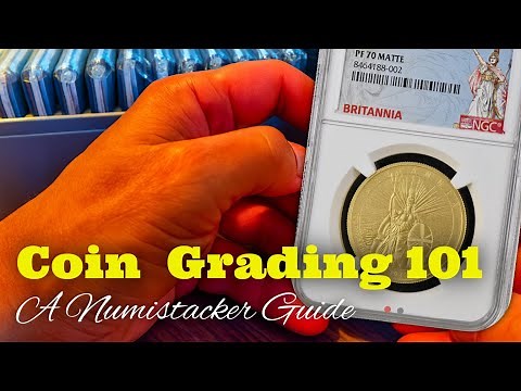 A Non AI Pure Numistacker Guide to Grading my full NGC PCGS 101 for 2025