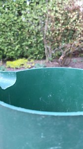 1.6M views · 61K reactions | Peekaboo  ️ Mona / ️ The Mona Lisa #chipmunk #funnyanimals #animallovers | Van Gogh the Chippy | Facebook