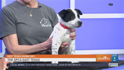 EAST TEXAS GIVING DAY: SPCA of East Texas