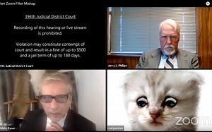 How to get a cat Zoom filter, after lawyer forced to clarify ‘I am not a cat’ to judge in viral video