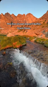 Welcome to the original live stream. Enjoy this moment of zen from the mountains. 🏔️ #visitestespark #estesparkcolorado #colorado #estespark #travel #spring #mountains | Visit Estes Park