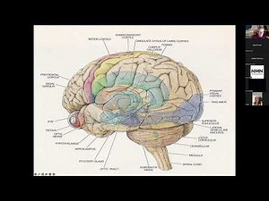 Overview and Intro to NM 2022