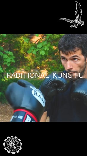 Η ΤΕΧΝΗ ΤΟΥ ΑΕΤΟΥ