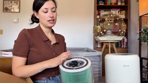 for LEVOIT Core 300 and Core 300S Filte Replacement High-Efficiency Activated Carbon Air Purifier, True Filter 3-in-1 Care Pet Compared Core 300-RF Filtes VortexAir Green 2Pack