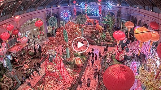 Bellagio Conservatory Cam