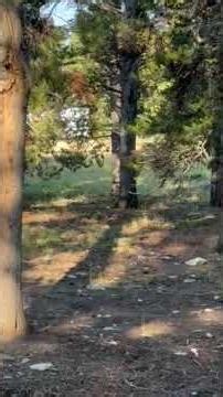 Video of Elgin Park Trailhead, WY from Nate H.