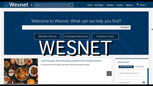 A Walk Through Wesnet