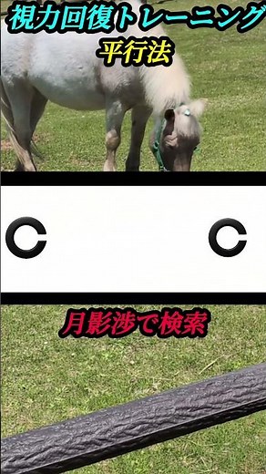 【視力回復トレーニング】平行法でランドルト環を見る事で視力回復