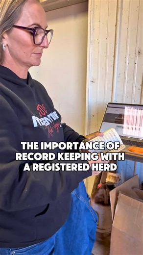 76 reactions | The importance of record keeping with a registered herd—the system that works for us #mcentireredangus #redangus #redanguscattle #registeredredangus #ranchers #redangusbulls #cowcalfoperation #redanguscows #ranchingfamily | McEntire Red Angus | Facebook