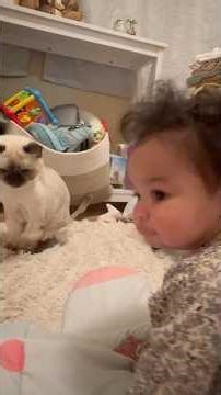 WATCH THE CAT’S REACTION TO THE BABY! 👇