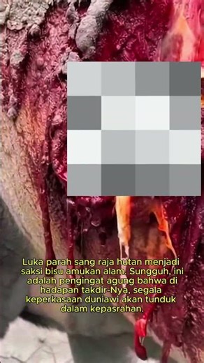LUKA MENDALAM, Cerminan Ujian yang Menimpa Semua Makhluk.