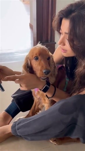 Smooth Scrolling CSS 🔥 | Next Level Scroll Effect! #Shorts