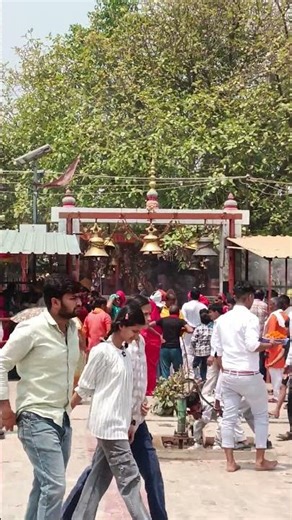 प्रातः काल मां वटवासिनी मैया का दरबार