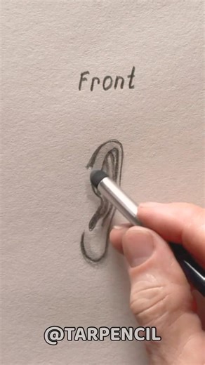 How to draw ears (front, side, back) #drawing #art #tutorial #howtodraw #shorts #earstud