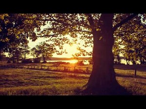 Relaxing Piano Music Most Wonderful and Beautiful music Long Playlist Peaceful Piano