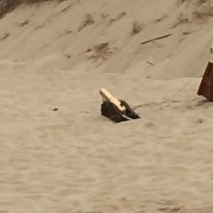 14K views · 218 reactions | This gun was designed to save lives!...