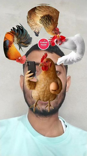 92K views · 1.6K reactions | Make the chicken  body one set at a time. #chicken #murga #rooster #cock #matan #hen #videoviralシ #viralreelschallenge #criclechallang #fbreelsfypシ゚ #fbyシvideo #fbreelsfypシ゚viralシ Pramod Puzzle | Pramod Puzzle | Facebook