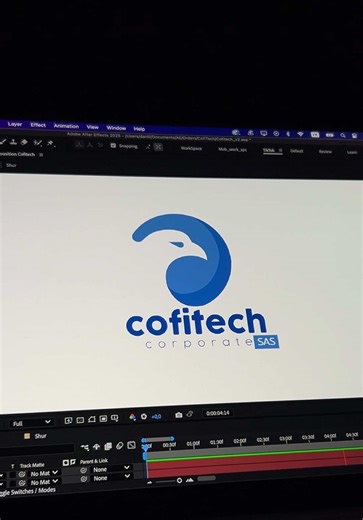 flink.motion on TikTok