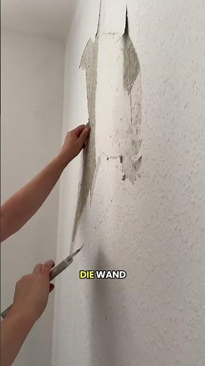 Alte Tapete richtig entfernen: Der wichtigste Schritt vor dem Tapezieren!