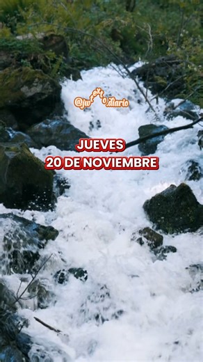 19K views · 908 reactions | JW TEXTO DIARIO DE HOY: JUEVES 20 DE NOVIEMBRE DE 2025 Examinemos las Escrituras Todos los Dias! #textodehoy #textodiario #jwtextodiario #versiculodeldia #textobiblicodeldia #versiculosbiblicos | JW Texto Diario | Facebook