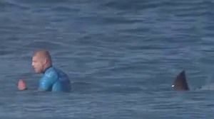 59K views · 690 reactions | After watching these pictures on live TV...