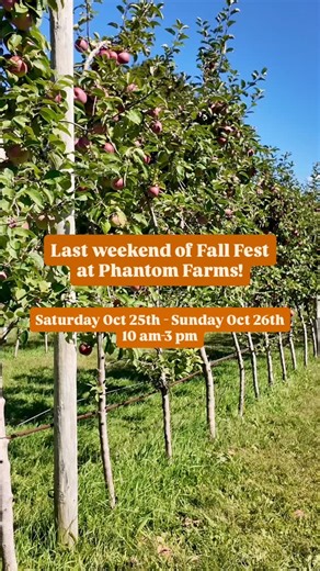 The last weekend of Fall Fest is here!🎃 Soak in the fall fun while it lasts! See you there!🧡 | Phantom Farms RI