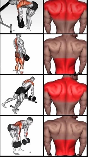 how to get back workout #backworkout #backday #fitness #workout #exercise #fyp #shorts #viral #gym