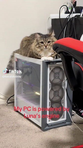 Enhance Your PC Performance with Luna’s Engine