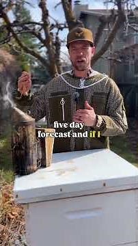 Spring Beekeeping Prep: when it’s okay to inspect your hive after winter