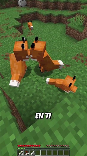 WHY ARE FOXES BETTER THAN WOLVES in Minecraft? 😳🦊 #shorts