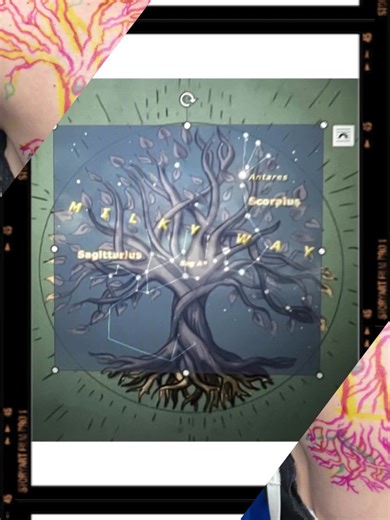 Jamy Magee on TikTok