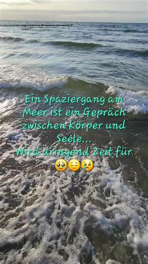 👉🏻👈🏻 ‼️#ostsee #zingst #fischlanddarßzingst #ostseeliebe #alienare