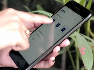 How to Send Money to Aadhaar Numbers via BHIM App