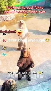 Try Not To Laugh 😂 Funniest Animal Comedy Moments Ranked #rankingvideo #funnyanimals #animalcomedy